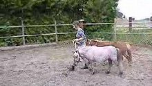Pearl et Tessa au travail