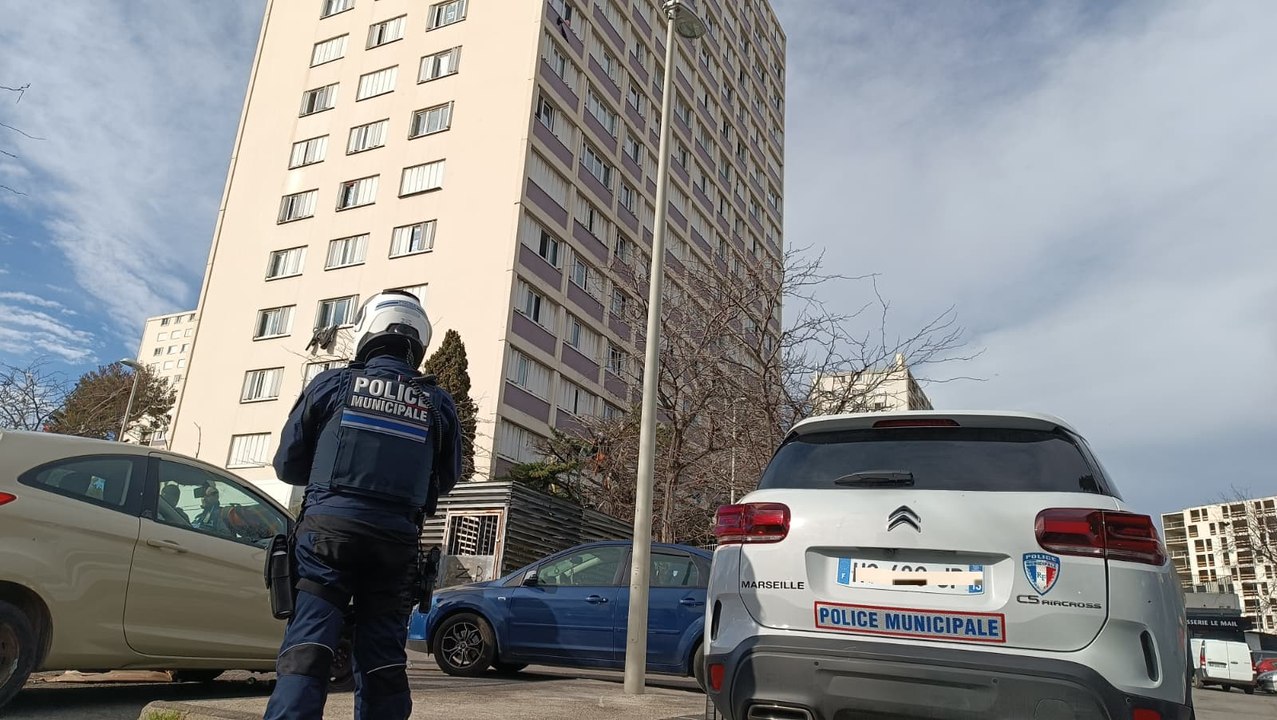 Opération "grappin" cité du Mail, quartiers Nord de Marseille