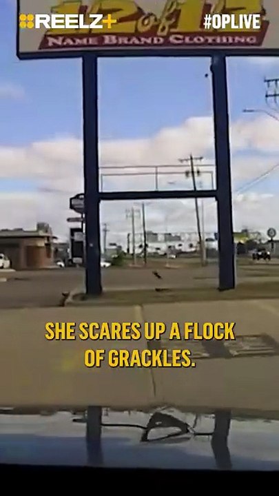 One of the Wildest Pit Maneuvers You’ll Ever See