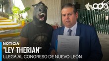 Presentan Ley Therian en Congreso de Nuevo León para proteger del acoso a quienes se identifican así