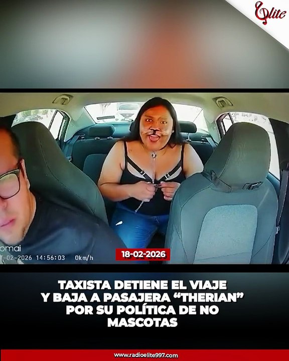 Soy un Perro “Therian”