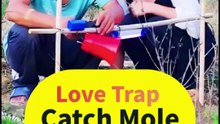 Insect Love Trap! Catch Crickets With Call