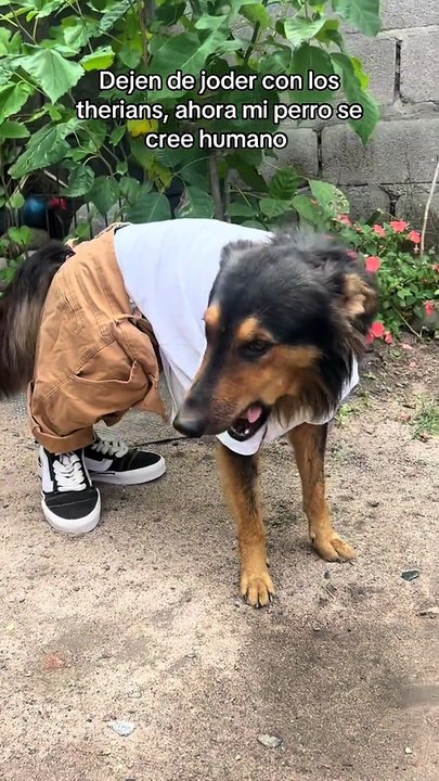 😂 The Funniest Thing You’ll See Today!