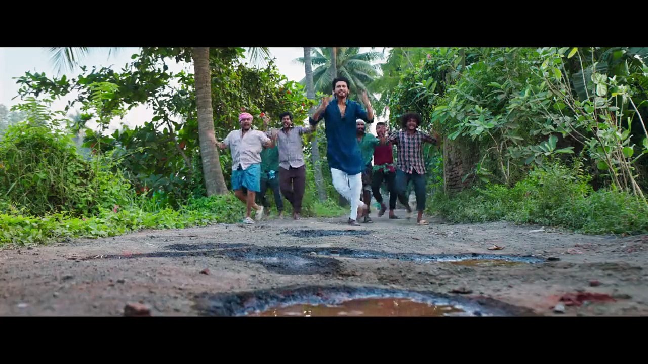 नगर निगम चुनाव