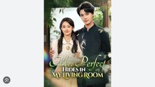 Mr Perfect Hides In My Living Room Drama S