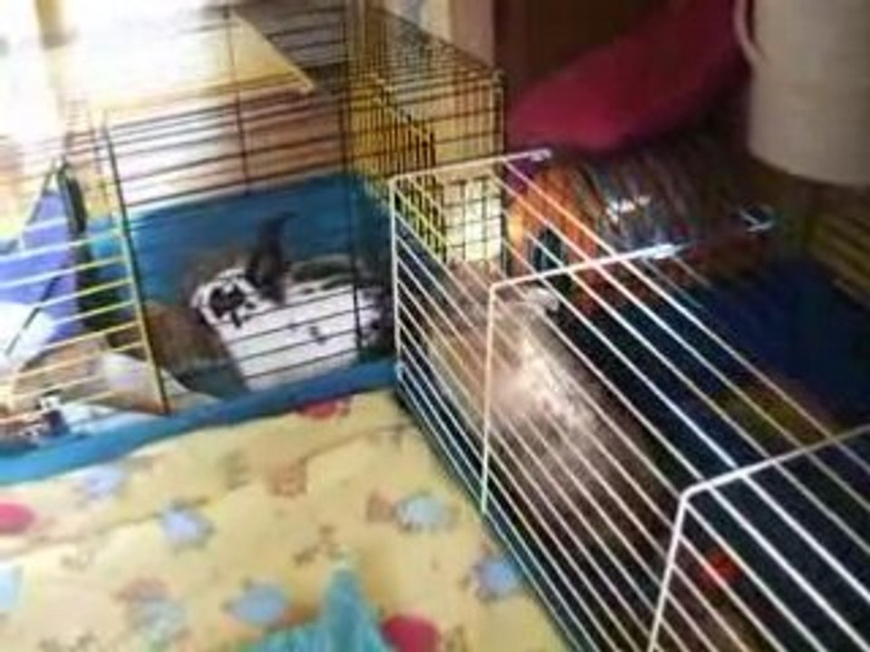 DSCF4874