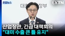 산업장관, 긴급 대책회의..."대미 수출 큰 틀 유지" / YTN