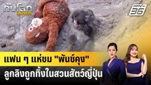 แฟน ๆ แห่ชม "พันช์คุง" ลูกลิงถูกทิ้งในสวนสัตว์ญี่ปุ่น | ทันโลก EXPRESS | 21 ก.พ. 69