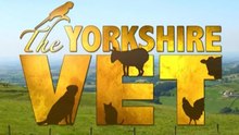 The Yorkshire Vet - Season 20 - Episode 11