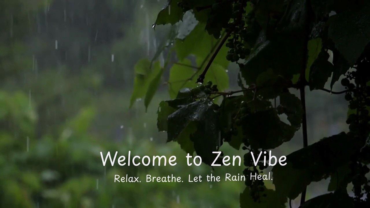 Relaxing Rain in Green Forest | 4K Nature Sounds for Sleep & Study