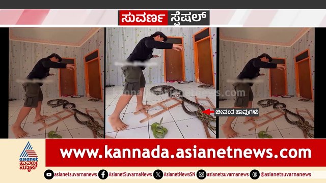 ಜೀವಂತ ಹಾವುಗಳ ಜೊತೆ ಹಾವು-ಏಣಿ ಆಟ..! ಹಾವಿನ ಜೊತೆ ಯುವಕನ ಹುಚ್ಚಾಟದ ವಿಡಿಯೋ ವೈರಲ್..!
