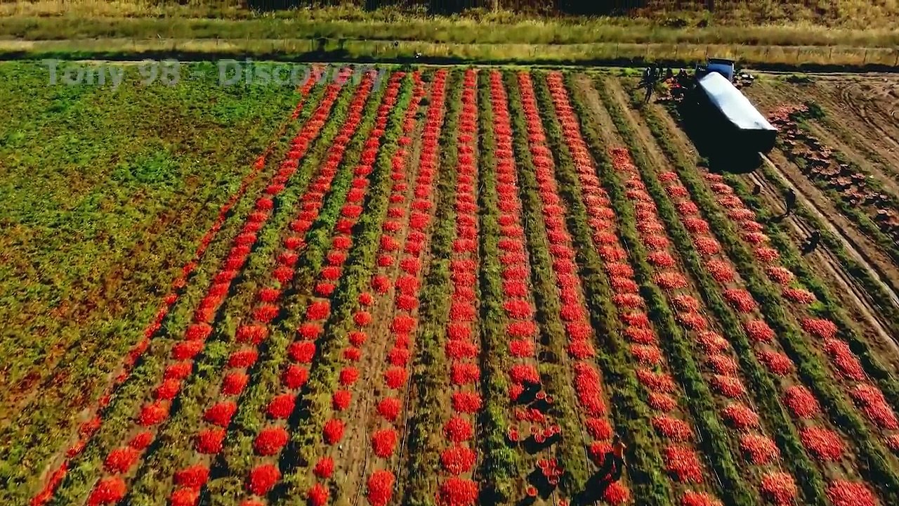 Largest Farmlands Farming Documentary