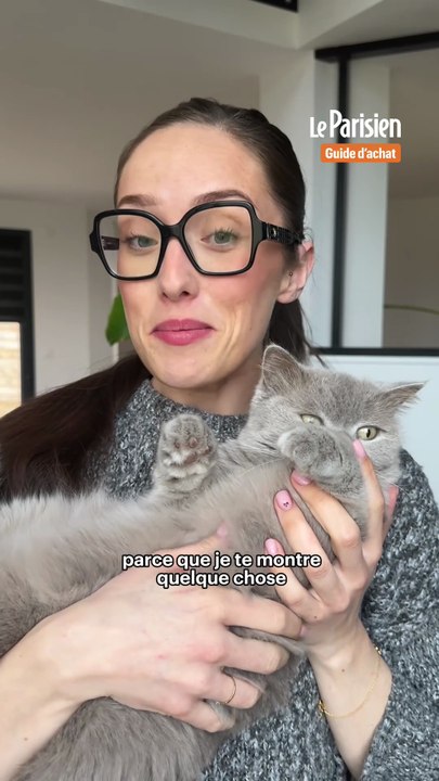 Crash Test : Fontaine à eau sans fil pour chat - Bandit