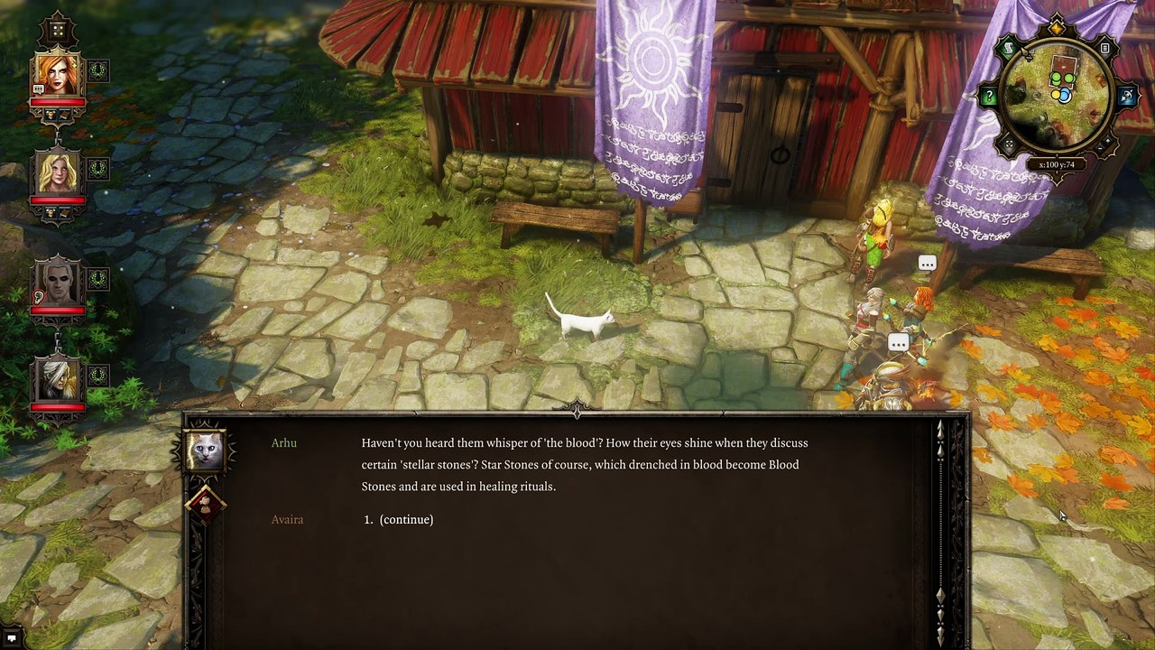 Divinity Original Sin - Episode 58 - Immersive Full Game Playthrough in Co-op - Silverglen Village