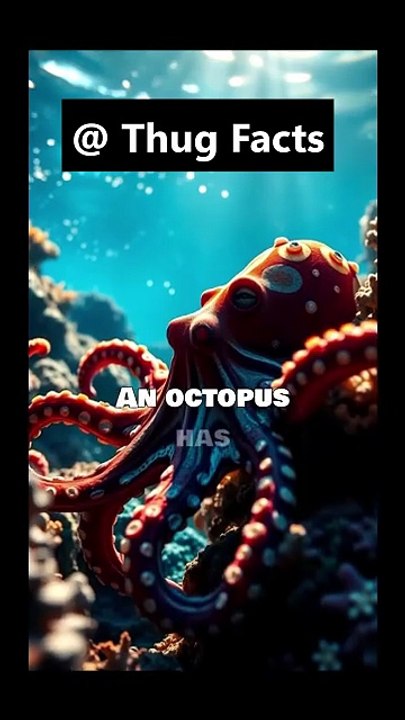 🤯 MIND-BLOWING FACTS You Didn’t Know! 🧠 - 1-Minute Amazing Facts #shorts