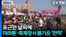 포근한 날씨에 마라톤·축제장서 봄기운 '만끽' / YTN