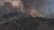 충남 예산군 대술면에 산불...'산불 1단계' 발령 / YTN