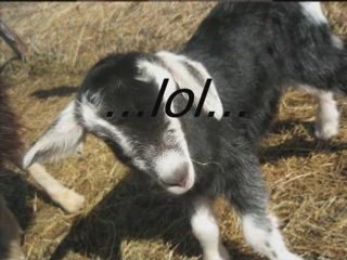 Video ma chéri et moi