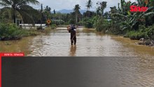 'Kami risau sebab sebelum ini ada buaya' - Luah mangsa banjir di Sabah
