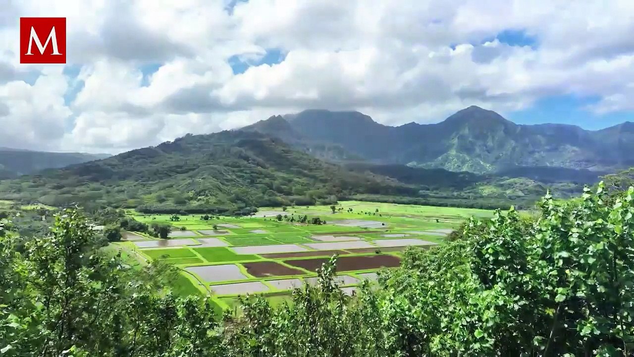 Así son los nuevos invernaderos del narco para cultivar marihuana que el ejército mexicano destruye