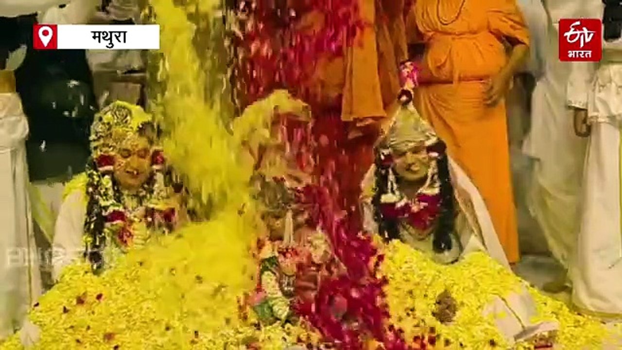 मथुरा-बरसाना में उड़े रंग-गुलाल; श्री कृष्ण रंग में रंगे श्रद्धालु, लड्डूमार होली की धूम