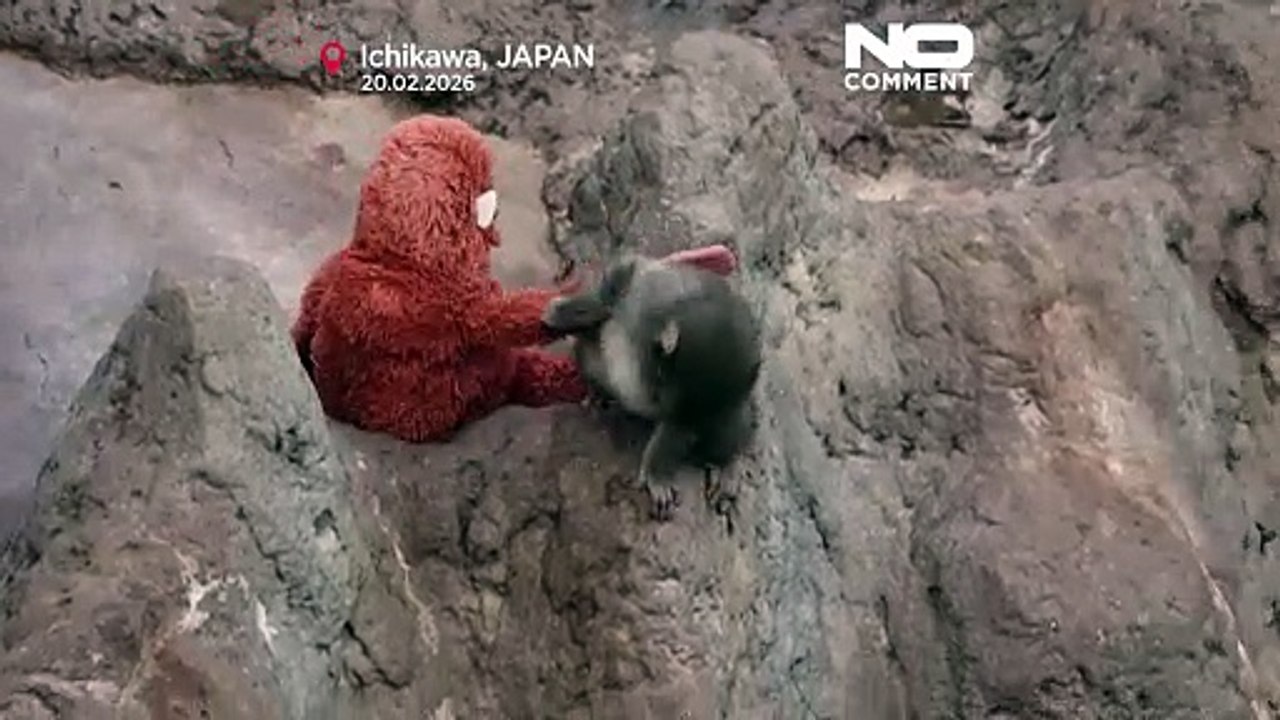 Fans strömen in japanischen zoo, um affenbaby-promi punch zu sehen