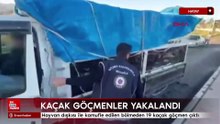 Hatay hayvan dışkısı ile kamufle edilen bölmeden 19 kaçak göçmen çıktı