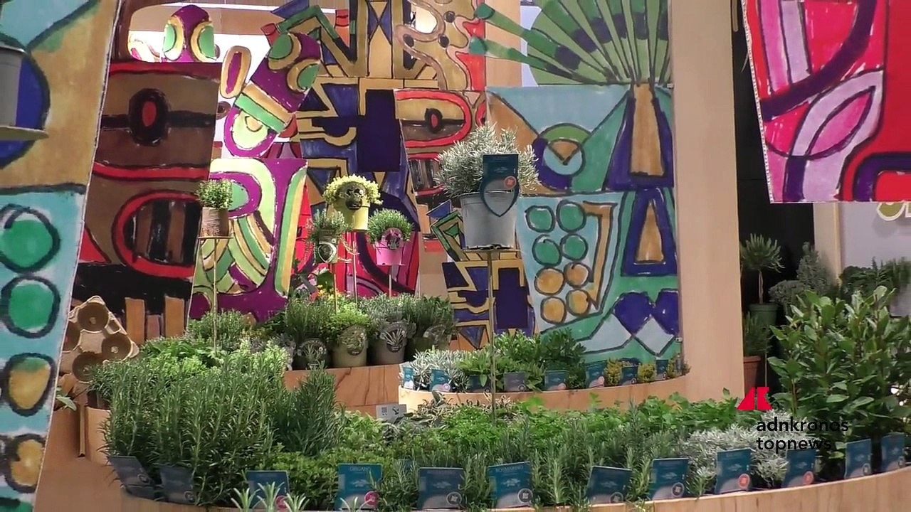 MyPlant & Garden 2026: celebrata a Milano la decima edizione dell’Olimpiade del verde