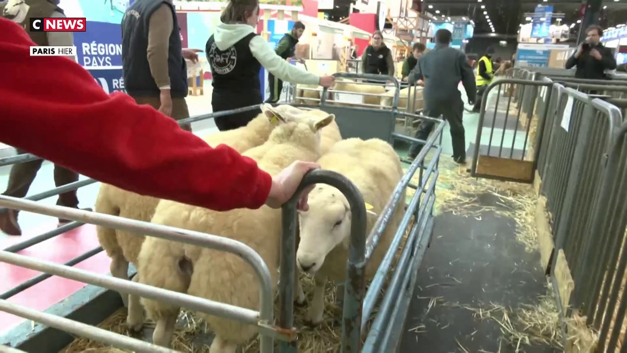 L'inquiétude et la lassitude des éleveurs au salon de l'Agriculture