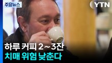 "하루 커피 2~3잔 치매 위험 낮춘다"...설탕·우유 첨가는 악영향 / YTN