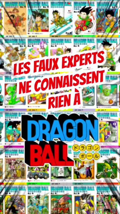 Les faux expert de DRAGON BALL