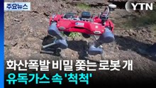 화산 폭발 비밀을 쫓는 로봇 개...유독 가스 속 임무 척척 / YTN