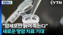 "암세포만 늙어 죽는다"...새로운 항암 치료 기대 / YTN