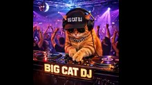 BIG-CAT-DJ-Sessions