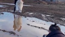 Groom Drops Bride in Mud During Wedding Photos! 💍|| Heartsome 💖