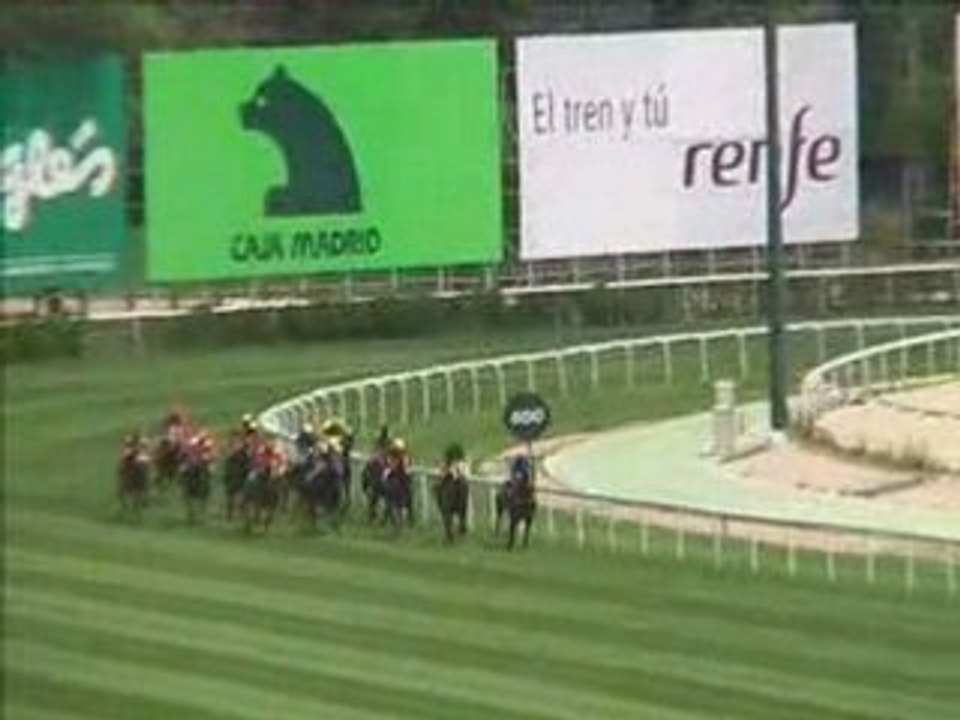 2008 (151) Premio BANG & OLUFSEN (H) (PARMESANO)