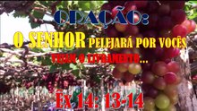 Oração: O Senhor pelejará por vocês  vejam o livramento...Êx 14_ 13-14 #oração