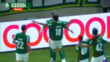 Palmeiras - Capivariano 1-0 GOAL VITOR ROQUE