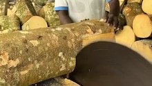 How match sticks are made in factories