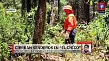 Cierran Parque Nacional 'El Chico' por plaga de 'gusano descortezador'
