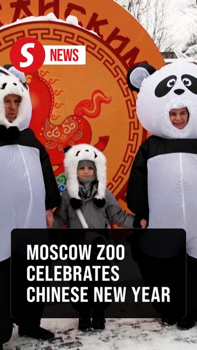 People dressed as pandas join the Moscow Zoo’s real pandas to celebrate the Chinese New Year