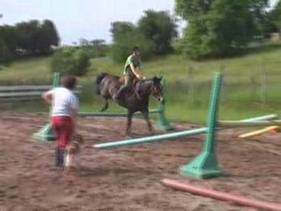 saut nathan