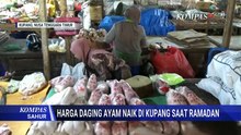 Ramadan 2026, Pasokan dari Jawa Picu Kenaikan Harga Ayam di NTT