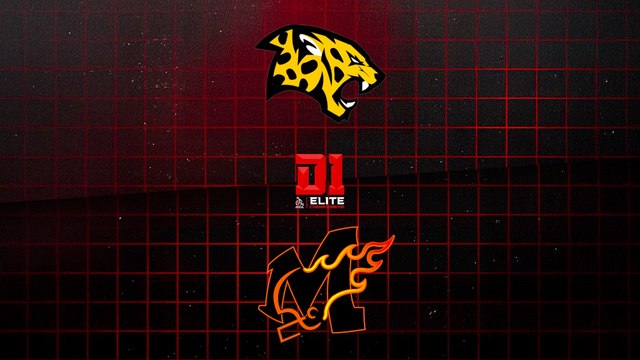 Leopards (Rouen) - Météores (Fontenay-sous-Bois)