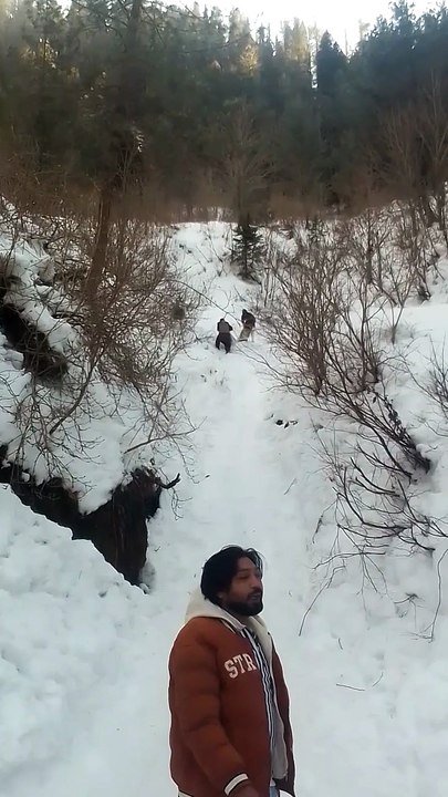 Tourist enjoy in snow