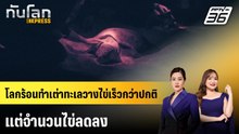 โลกร้อนทำเต่าทะเลวางไข่เร็วกว่าปกติ แต่จำนวนไข่ลดลง | ทันโลก EXPRESS | 22 ก.พ. 69