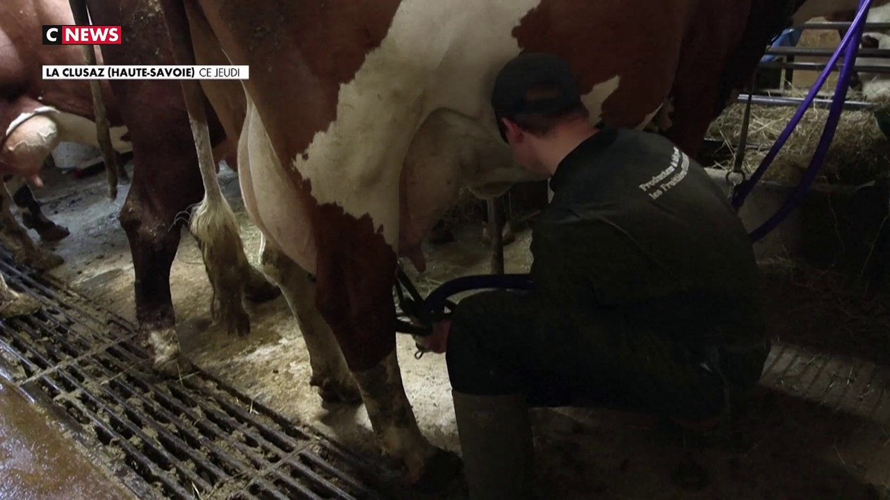 Dans les Alpes françaises, c'est la passion contre l’endettement pour les jeunes agriculteurs