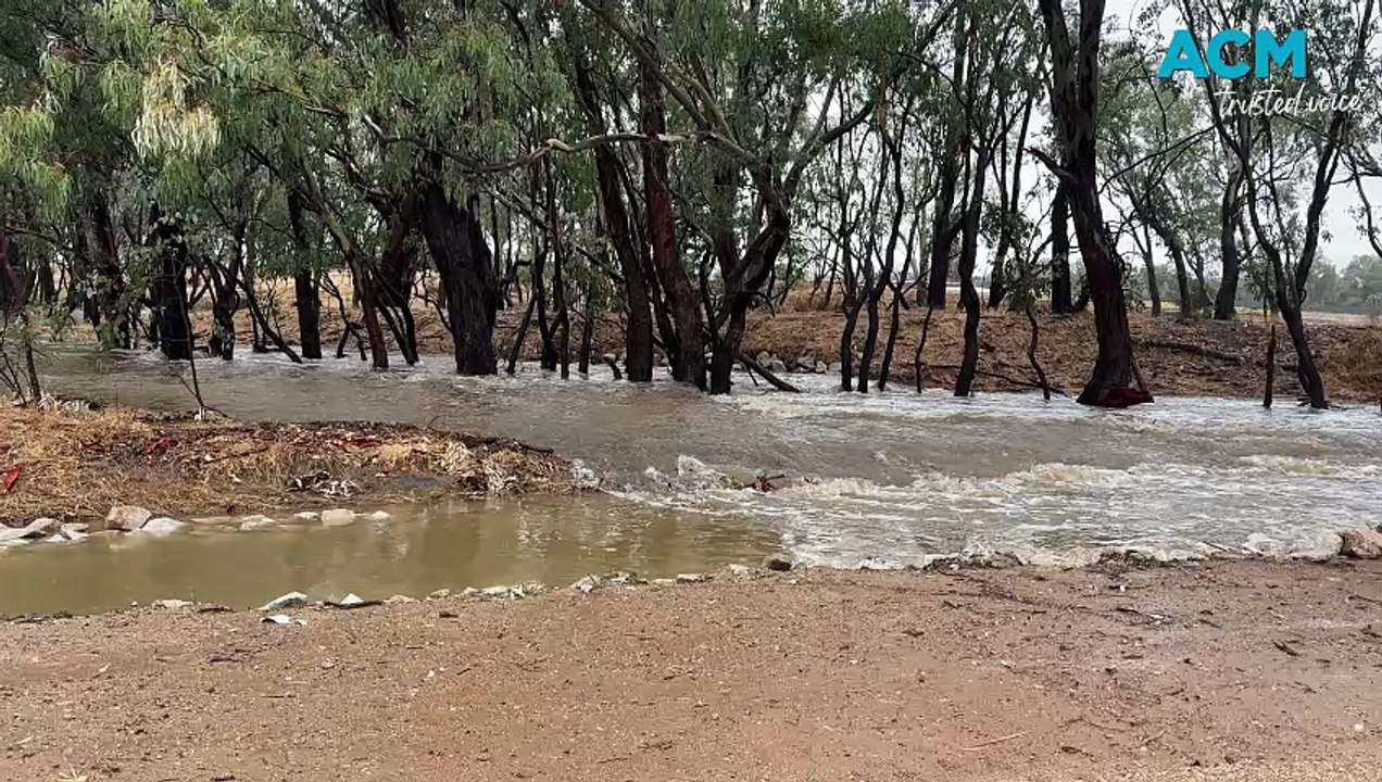 Wodonga flash flooding | The Border Mail | February 22, 2026