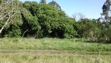 Hombre invisible traje ghillie o yowie