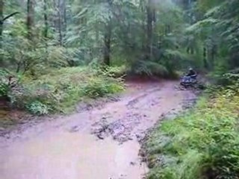 Bruin - Petite flaque